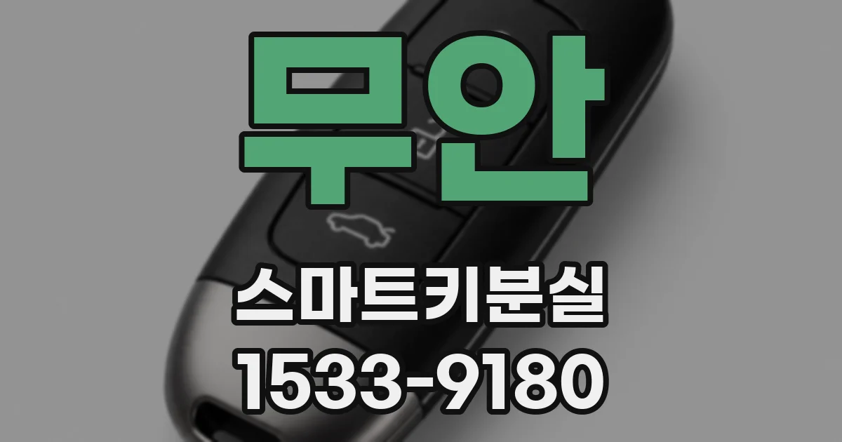 무안 스마트키분실