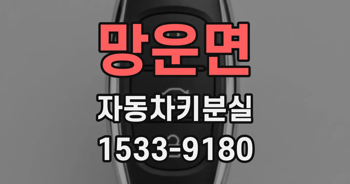 망운면 자동차키분실