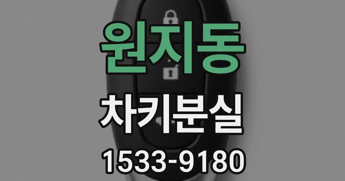 원지동 차키분실