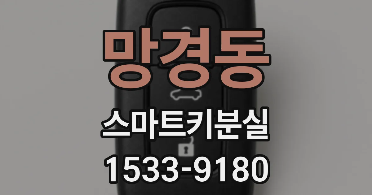 망경동 스마트키분실