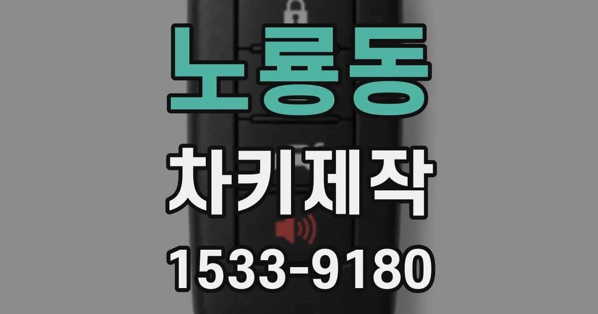 노룡동 차키제작