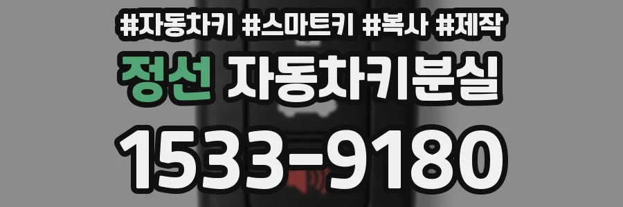 정선 자동차키분실