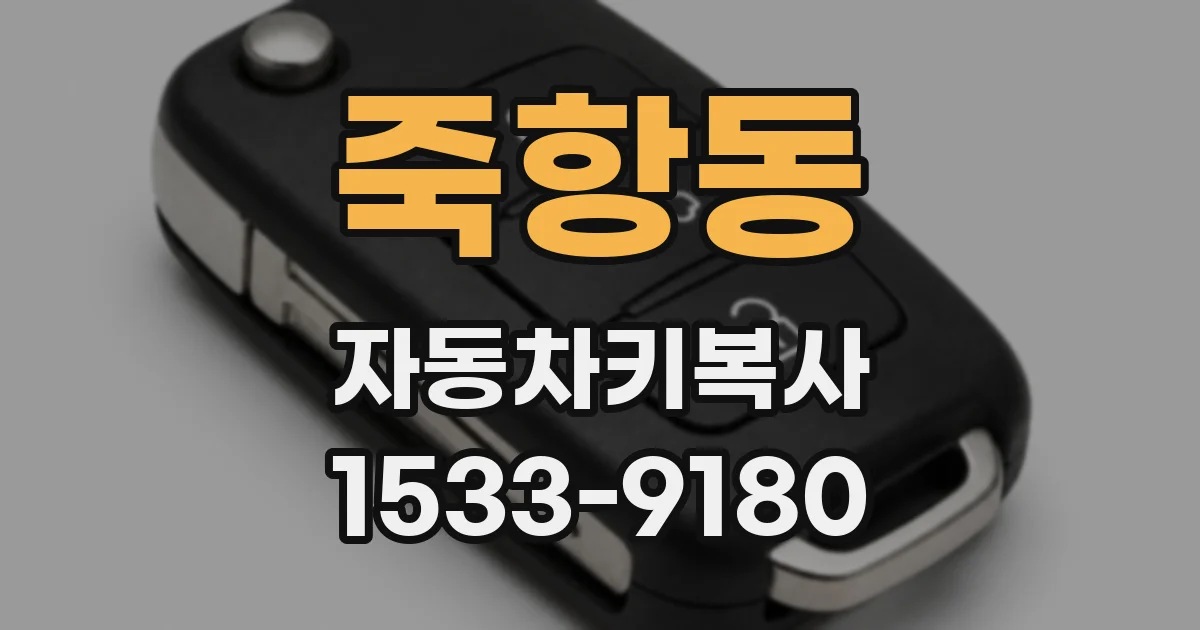 죽항동 자동차키복사