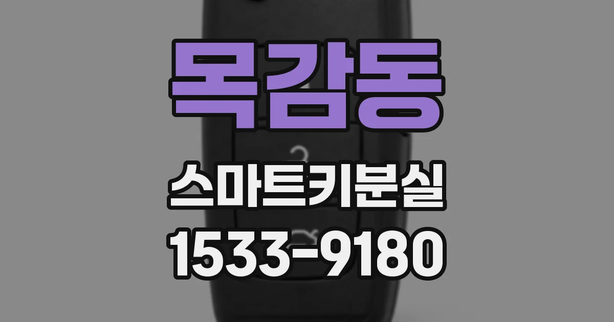 목감동 스마트키분실