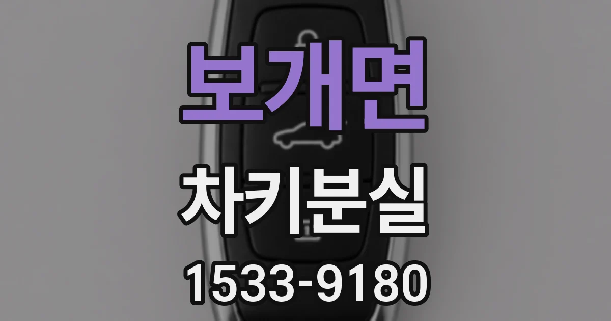 보개면 차키분실