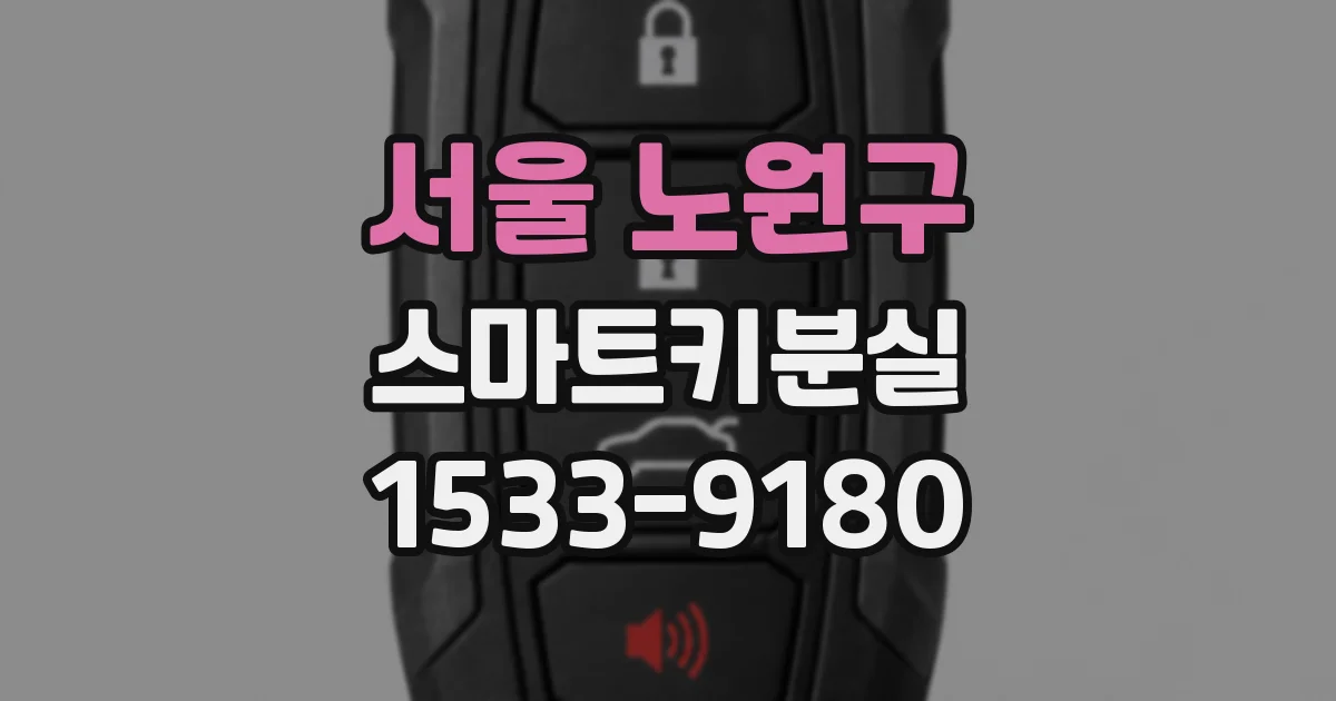 서울 노원구 스마트키분실