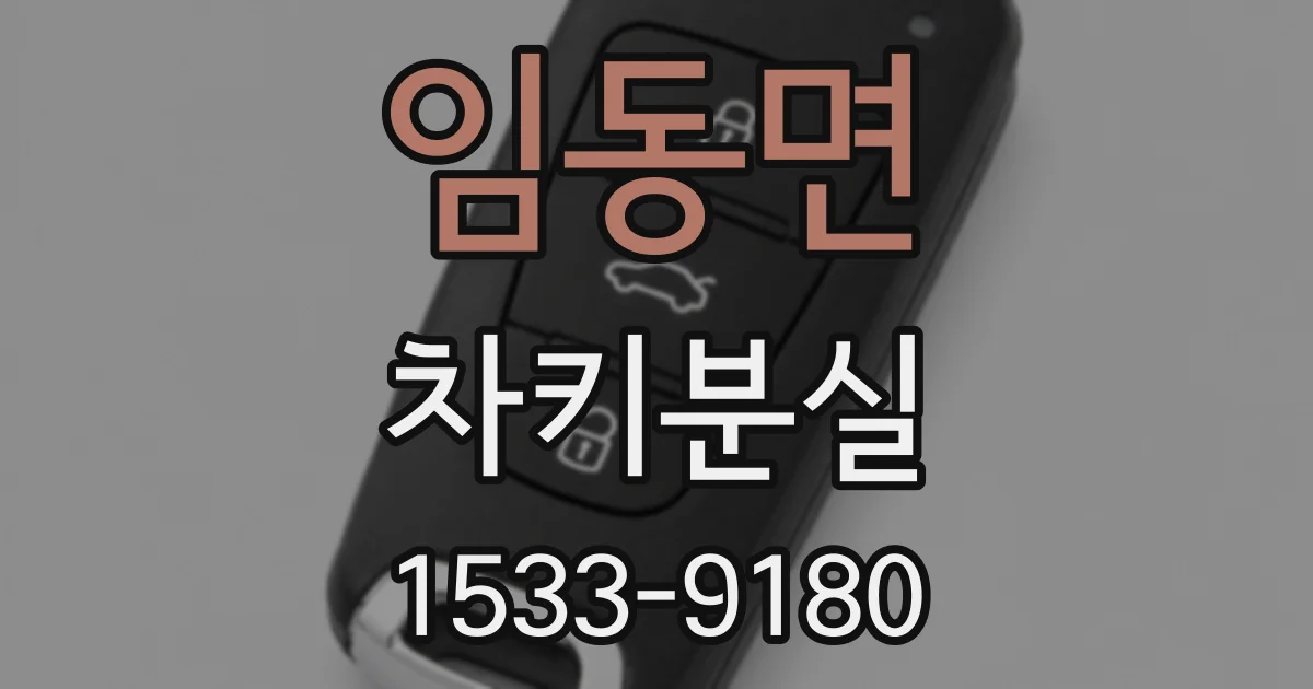 임동면 차키분실