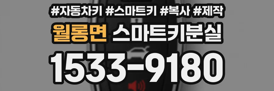 월롱면 스마트키분실