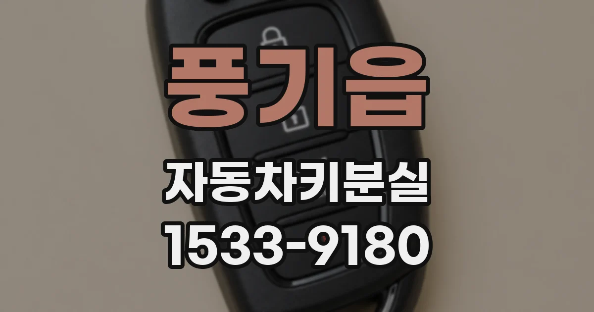 풍기읍 자동차키분실