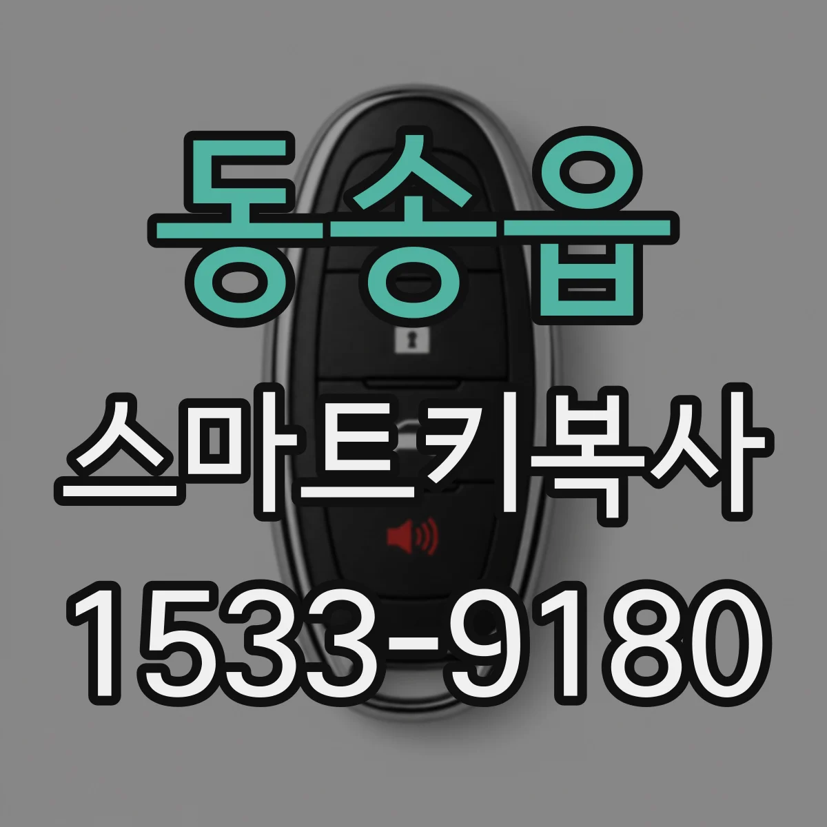 동송읍 스마트키복사