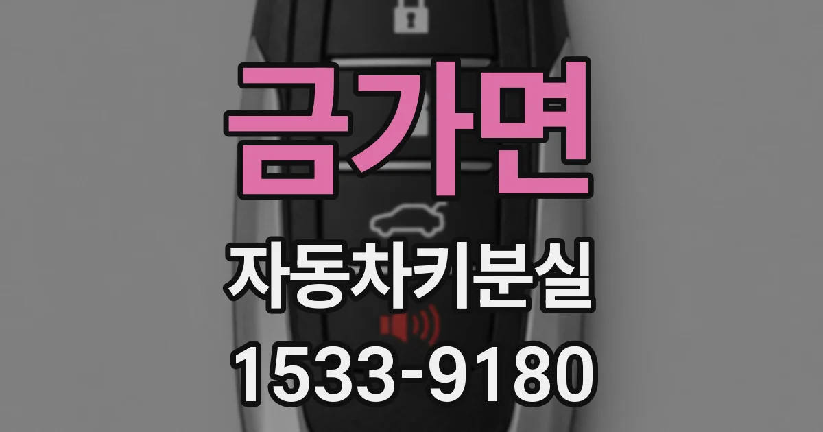 금가면 자동차키분실