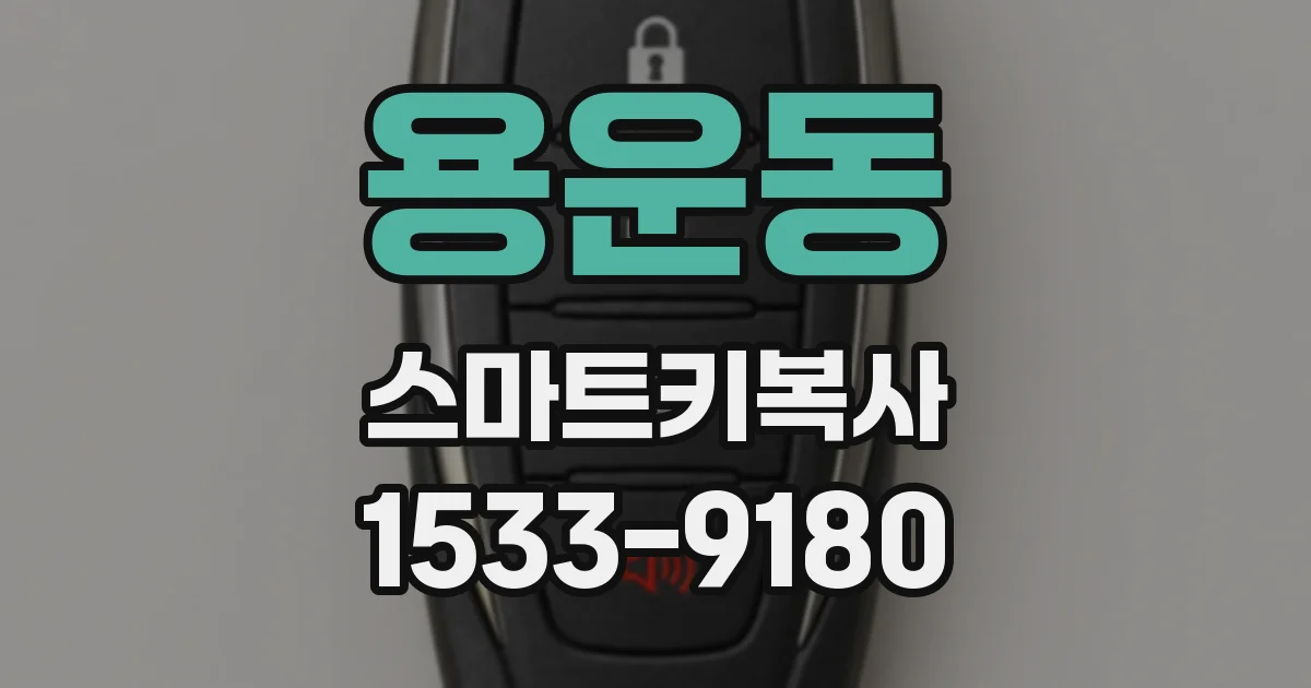 용운동 스마트키복사