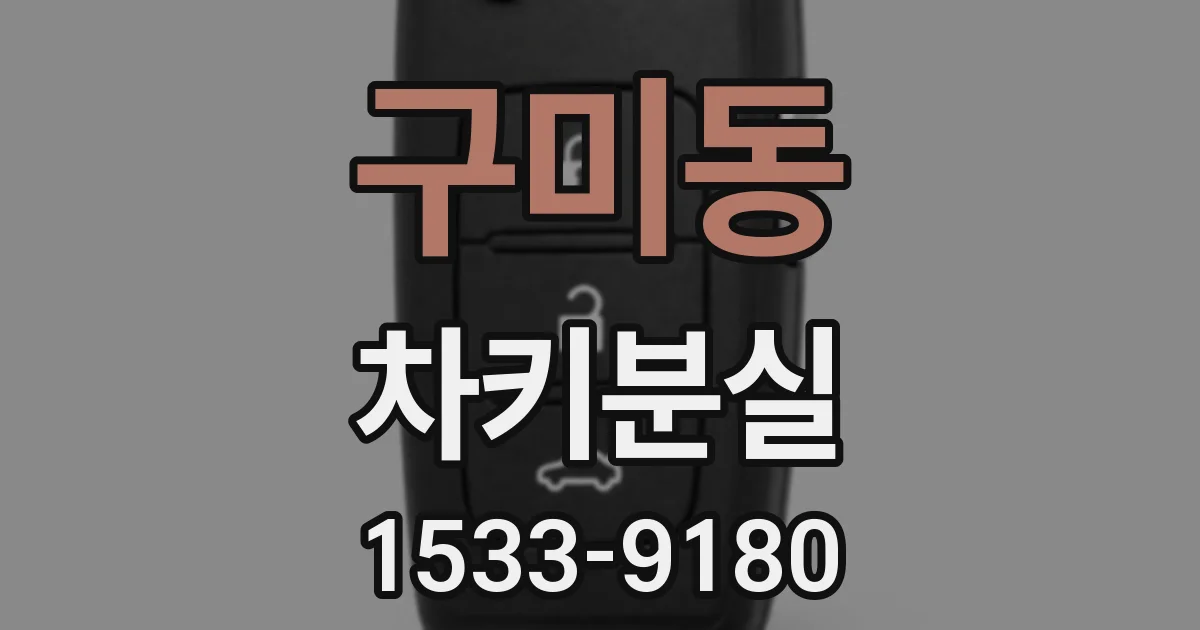 구미동 차키분실