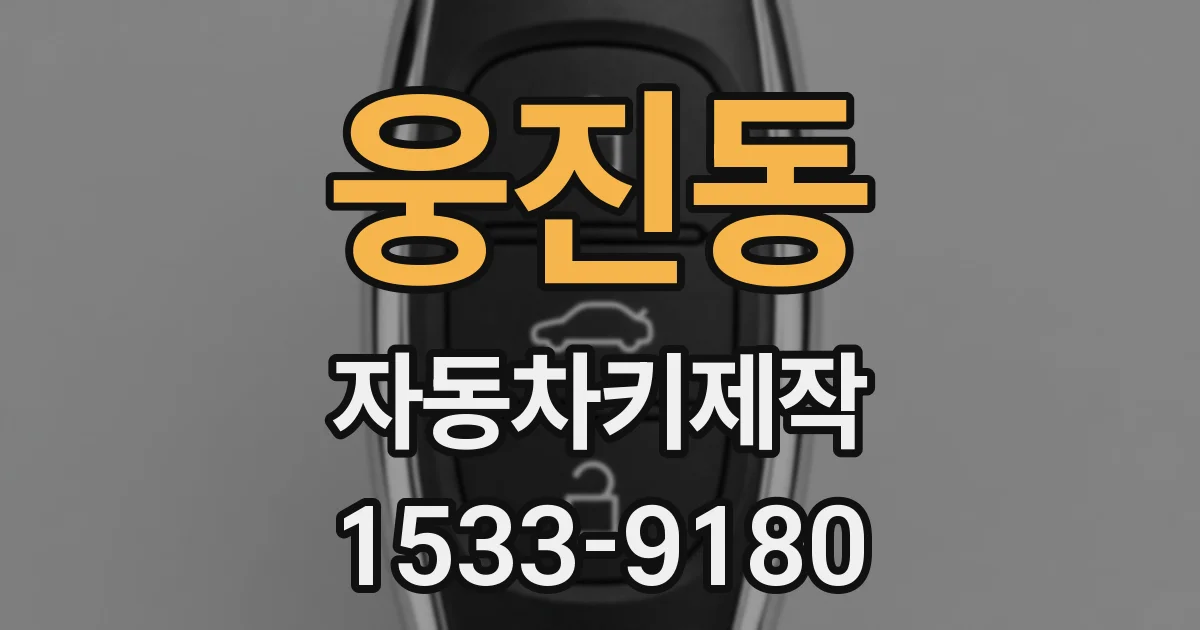 웅진동 자동차키제작