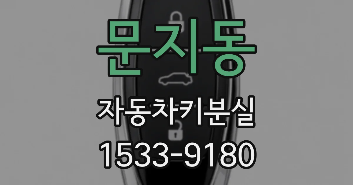 문지동 자동차키분실