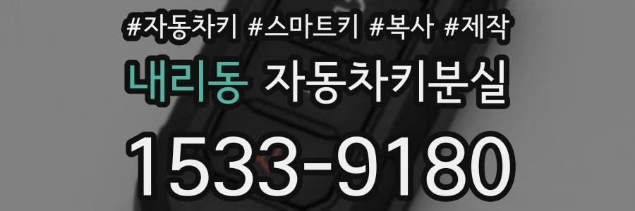 내리동 자동차키분실