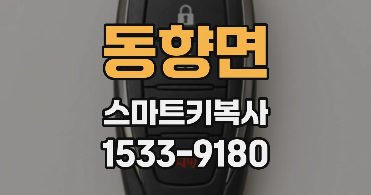 동향면 스마트키복사
