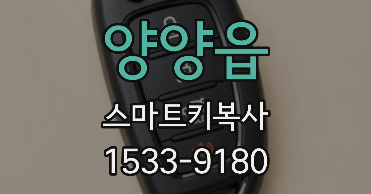 양양읍 스마트키복사