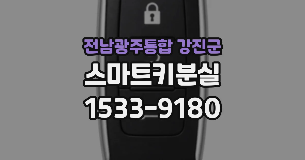 전남광주통합 강진군 스마트키분실