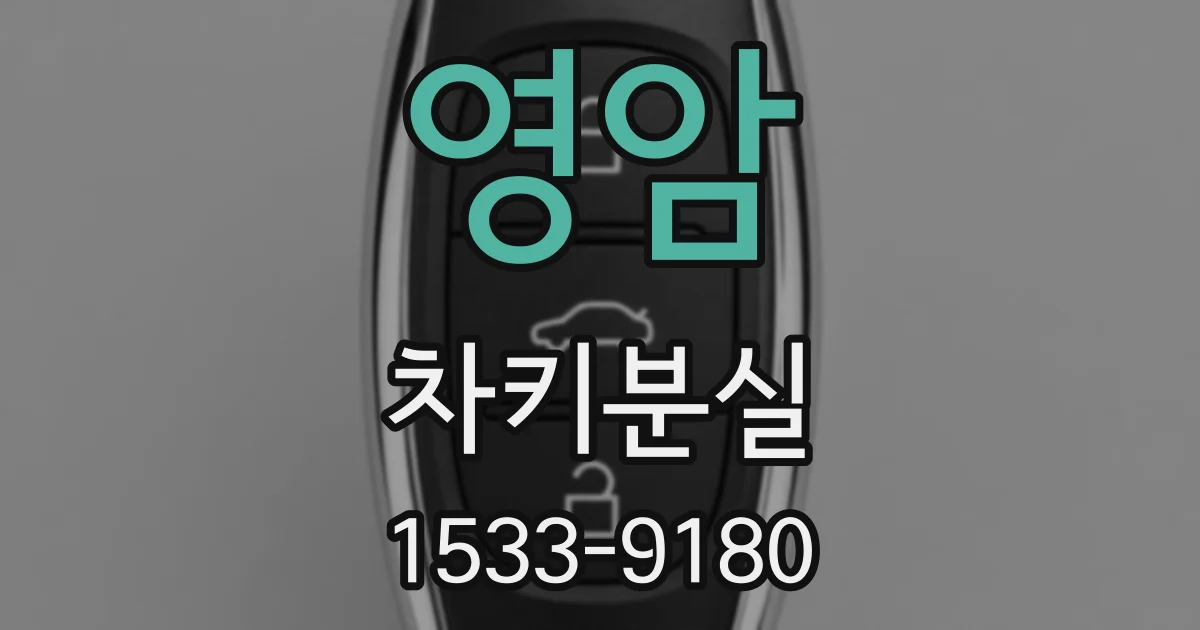 영암 차키분실