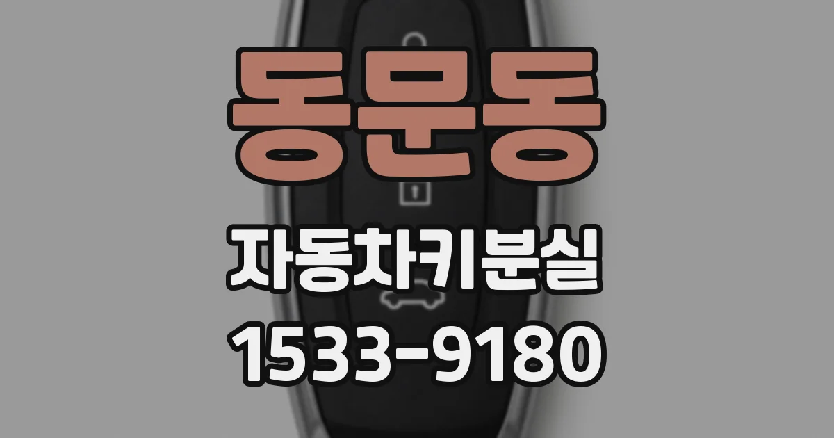 동문동 자동차키분실