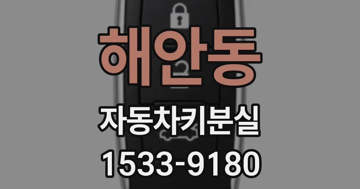 해안동 자동차키분실