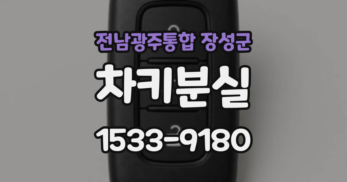전남광주통합 장성군 차키분실