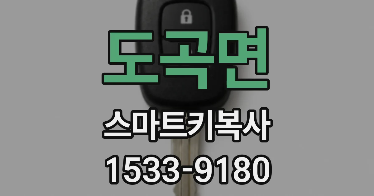 도곡면 스마트키복사