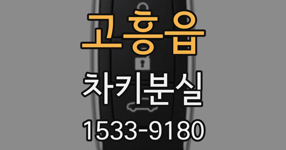 고흥읍 차키분실