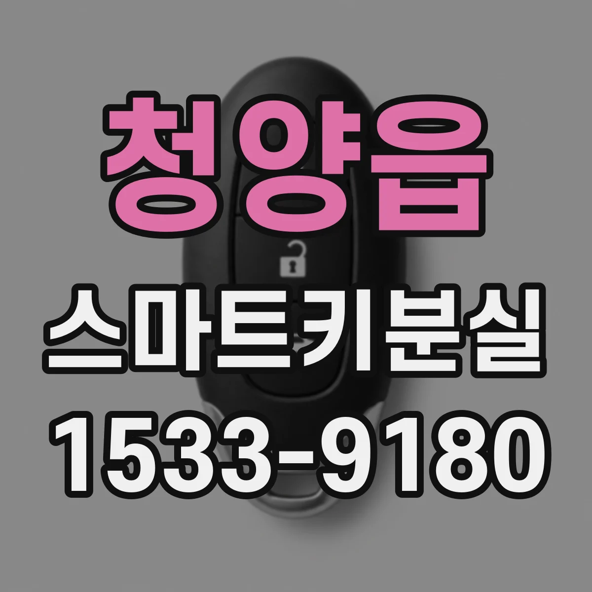 청양읍 스마트키분실