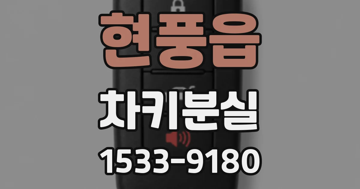 현풍읍 차키분실