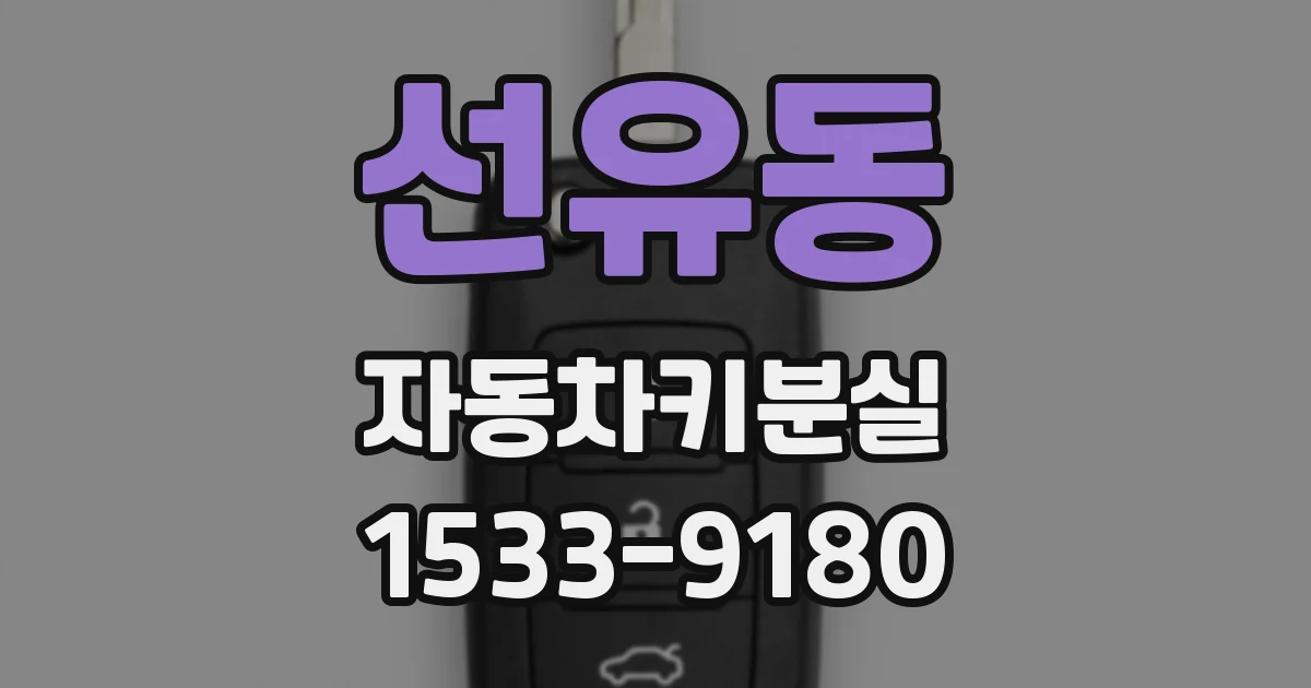 선유동 자동차키분실