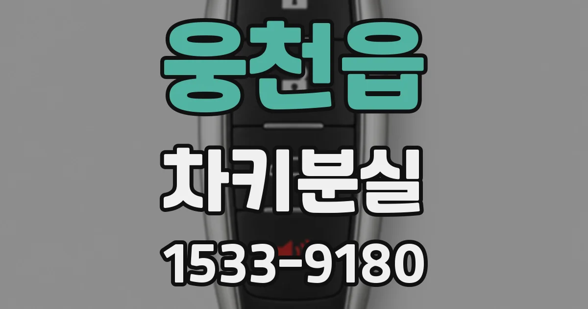웅천읍 차키분실