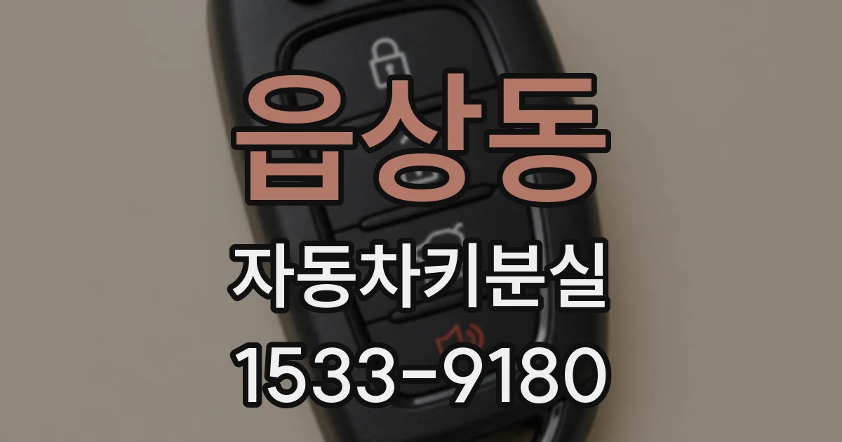 읍상동 자동차키분실