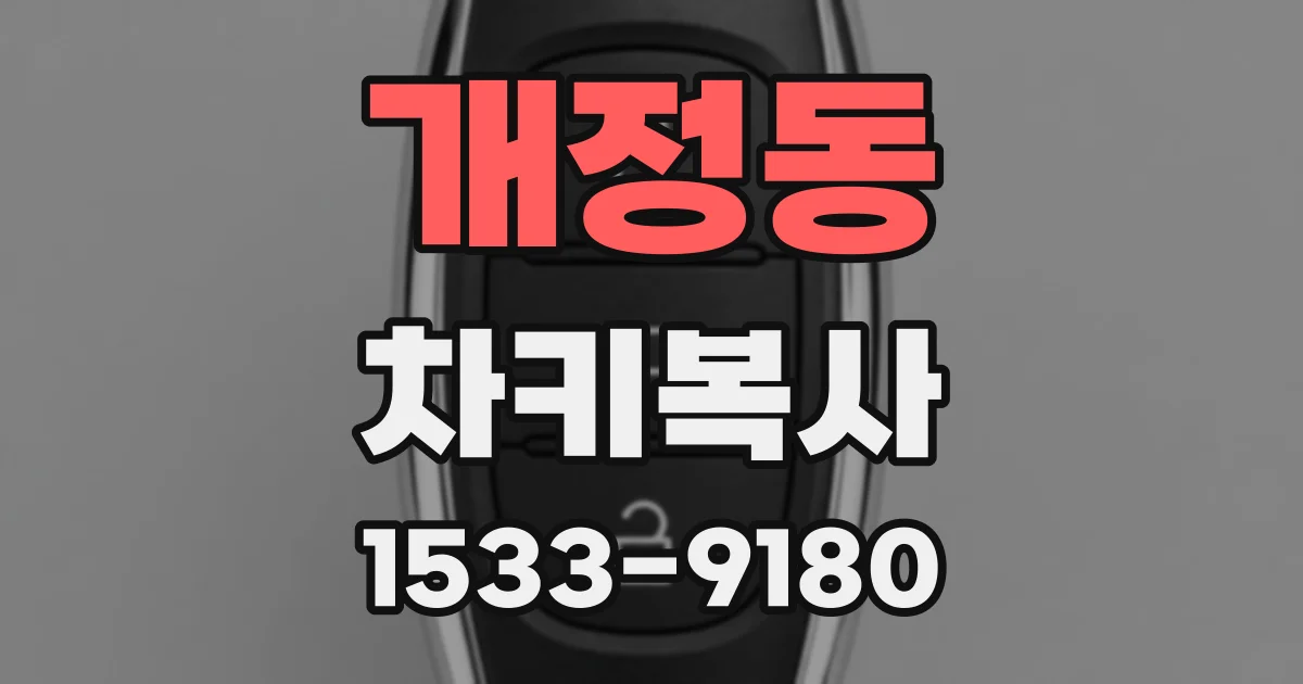 개정동 차키복사