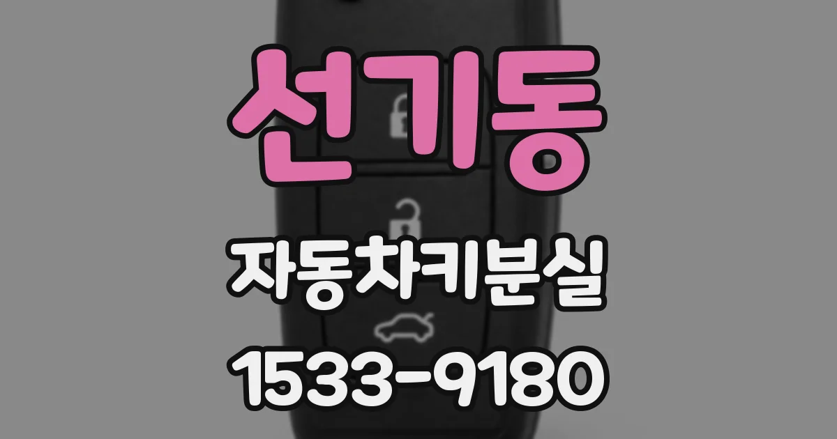 선기동 자동차키분실