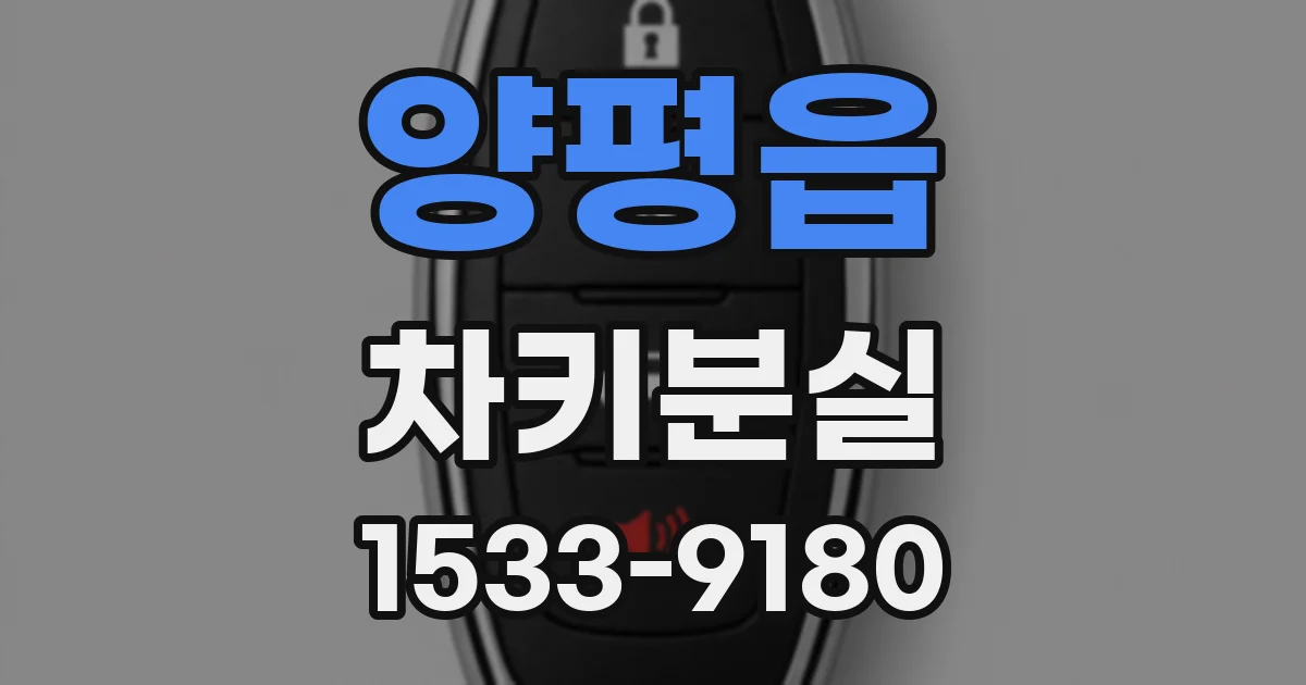 양평읍 차키분실