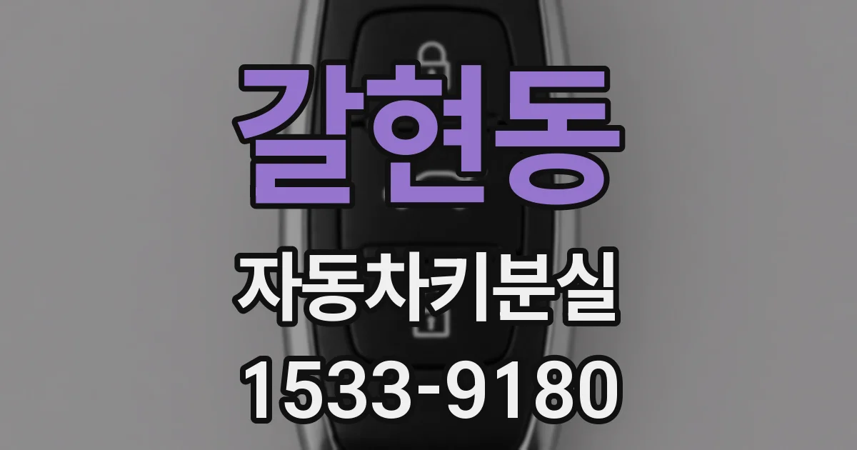 갈현동 자동차키분실