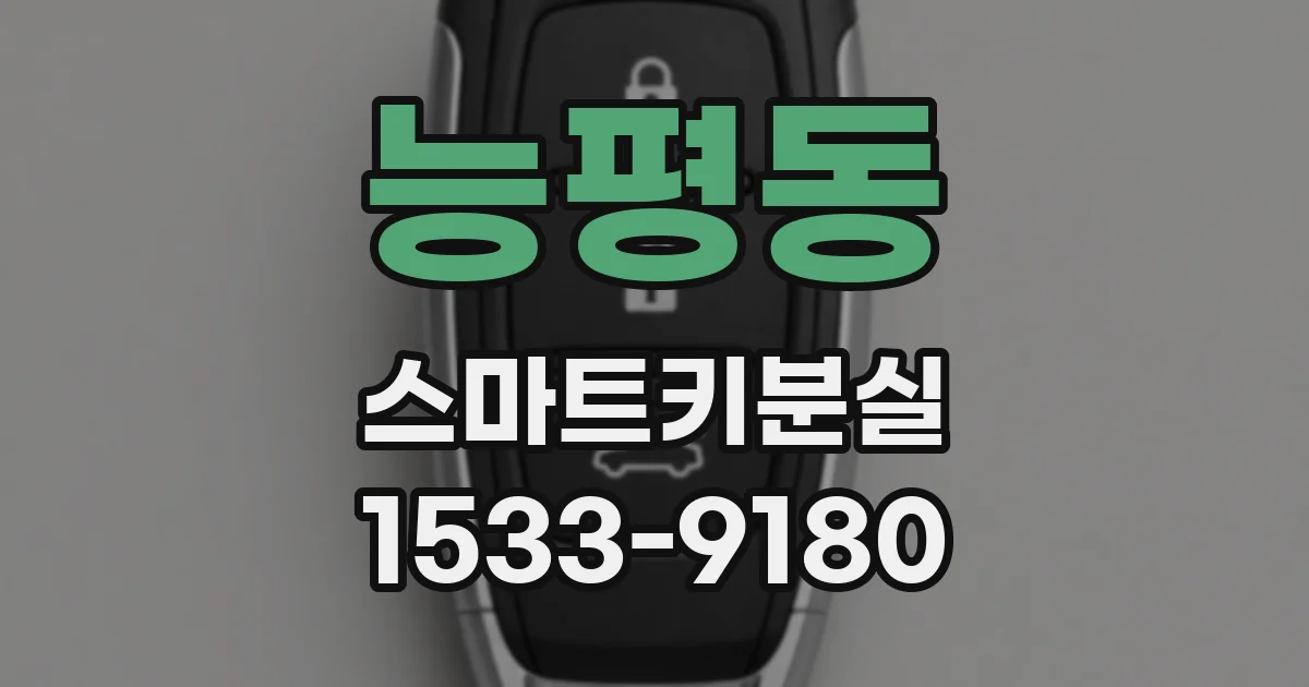 능평동 스마트키분실