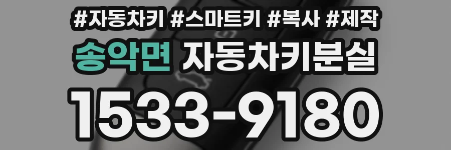 송악면 자동차키분실
