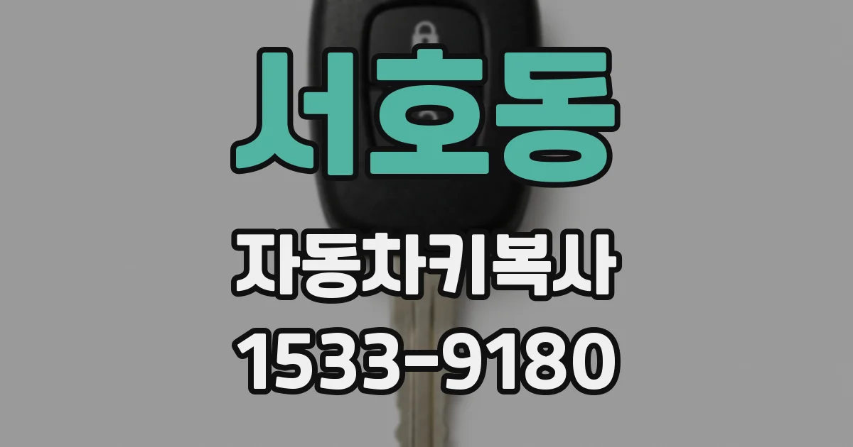 서호동 자동차키복사
