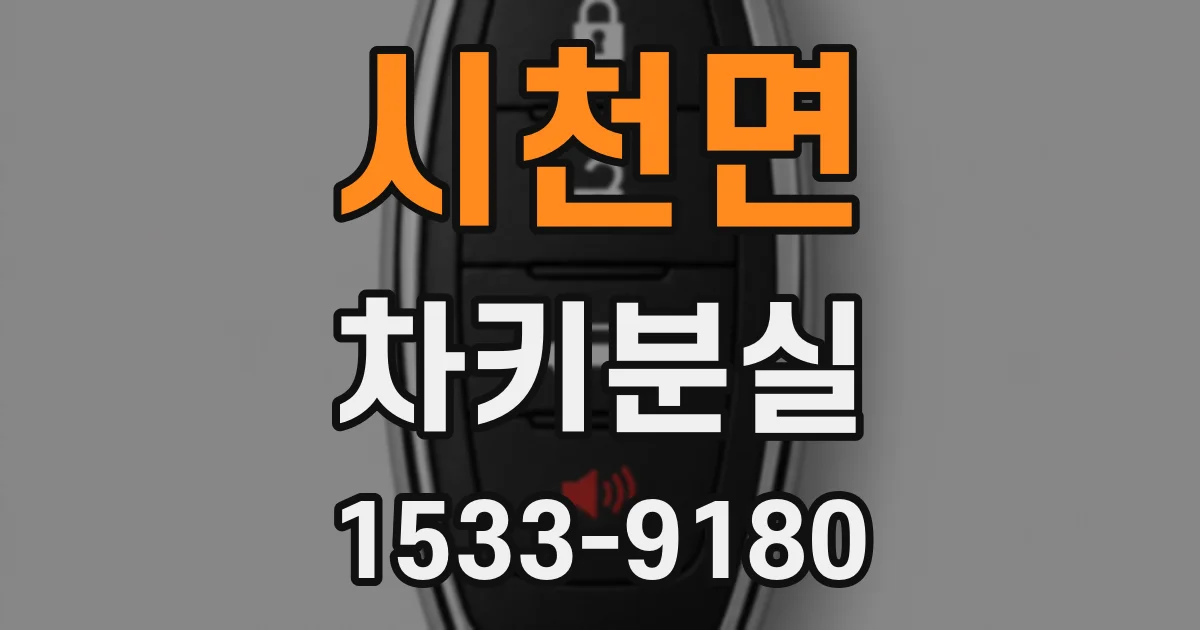 시천면 차키분실