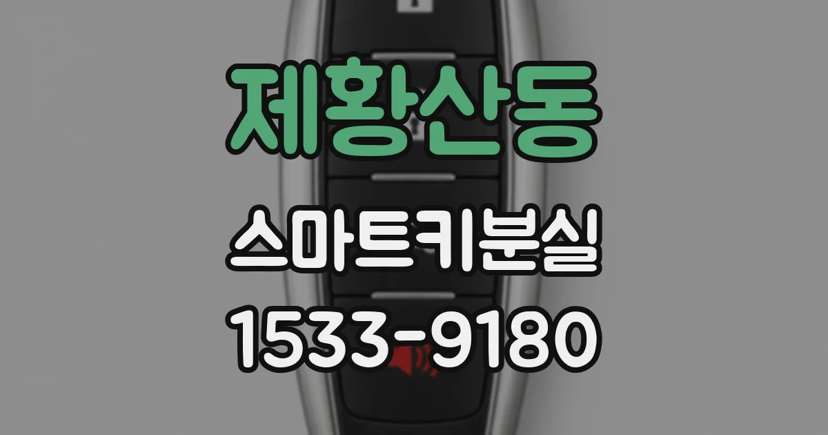 제황산동 스마트키분실