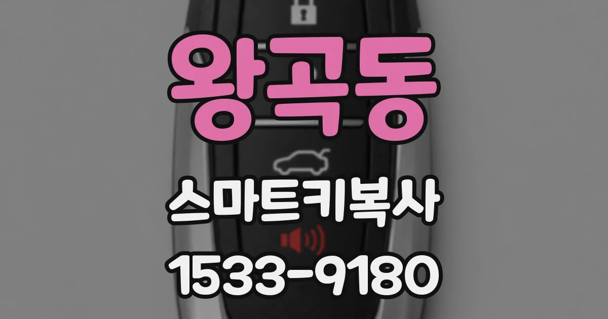 왕곡동 스마트키복사