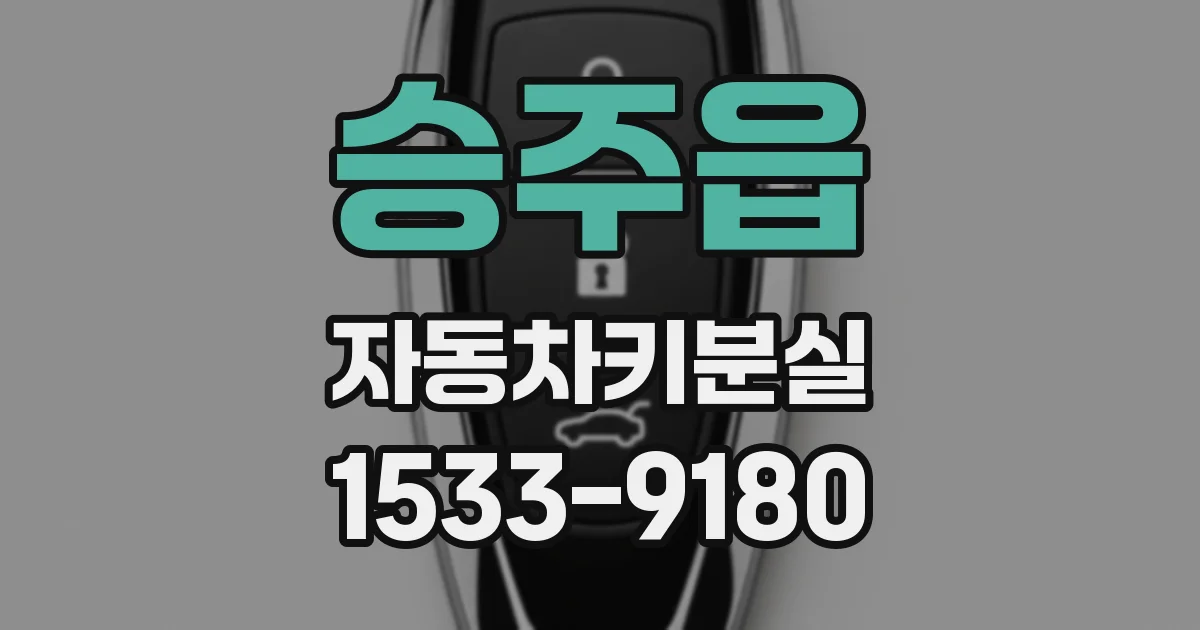 승주읍 자동차키분실