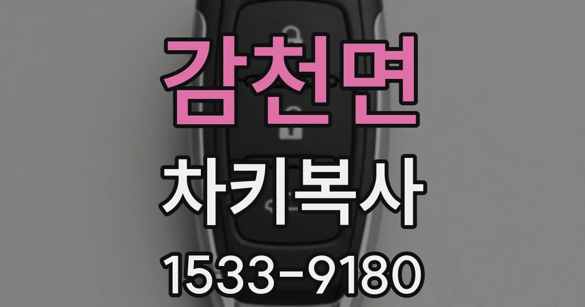 감천면 차키복사