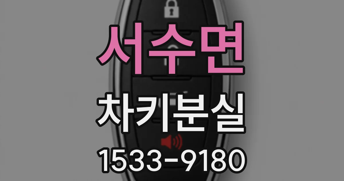 서수면 차키분실