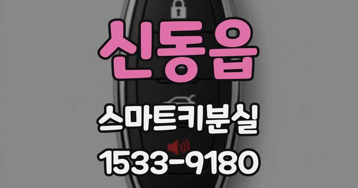 신동읍 스마트키분실
