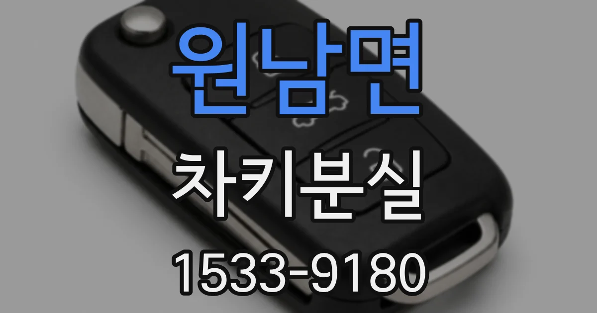 원남면 차키분실