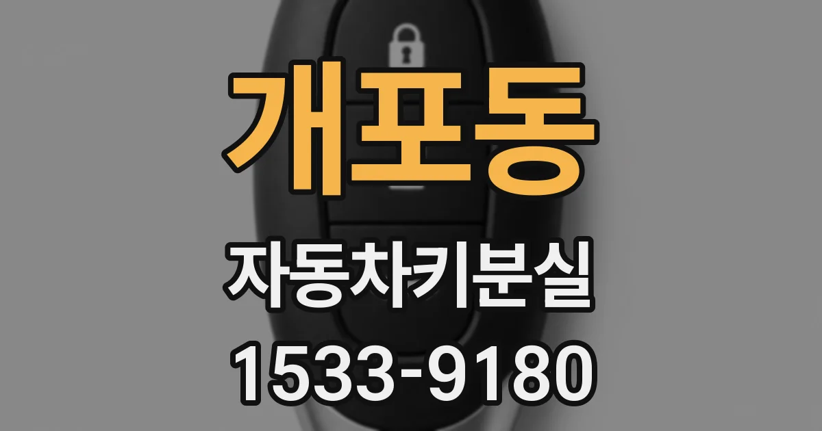 개포동 자동차키분실